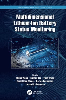 Multidimensional Lithium-Ion Battery Status Monitoring 1