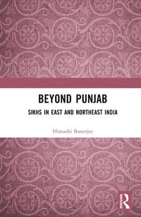 bokomslag Beyond Punjab