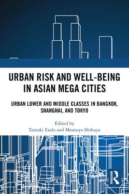 Urban Risk and Well-being in Asian Megacities