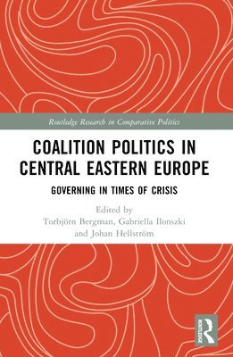 bokomslag Coalition Politics in Central Eastern Europe