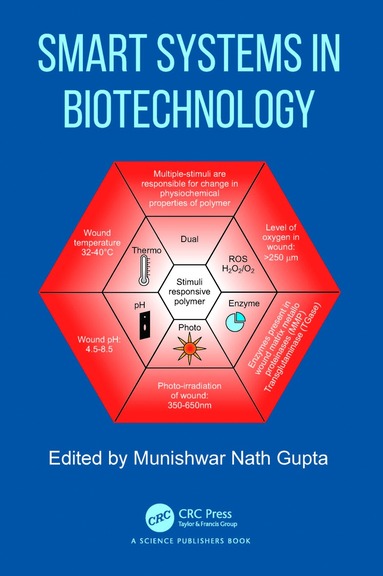 bokomslag Smart Systems in Biotechnology