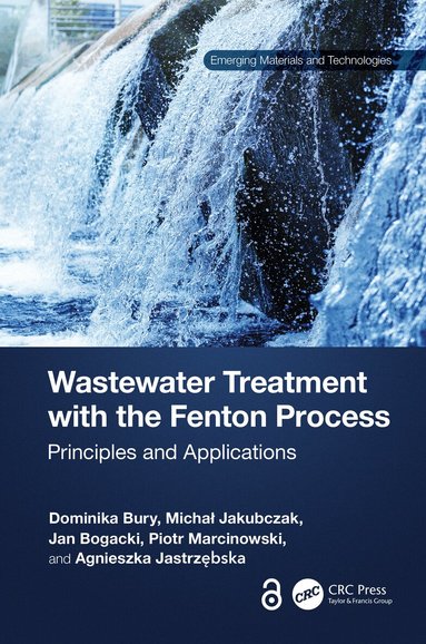 Dominika Bury, Michał Jakubczak, Jan Bogacki, Piotr Marcinowski, Agnieszka Jastrzębska - Wastewater Treatment with the Fenton Process, Inbunden