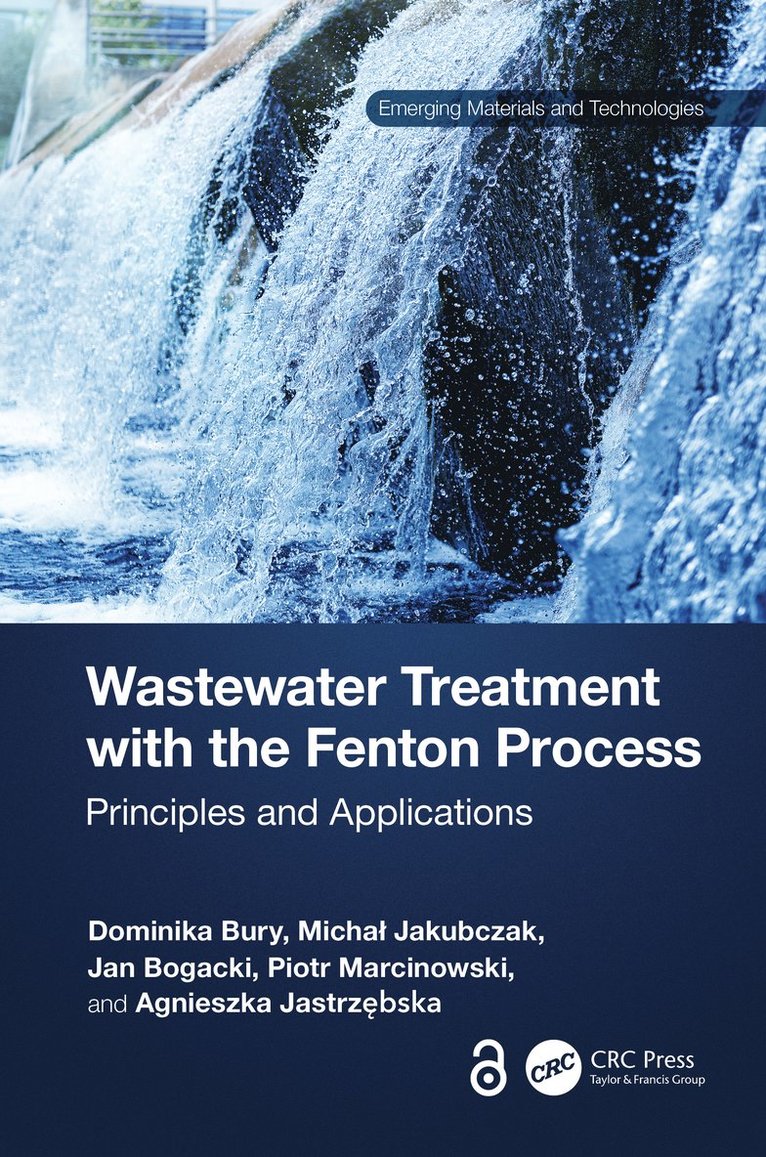 Dominika Bury, Michał Jakubczak, Jan Bogacki, Piotr Marcinowski, Agnieszka Jastrzębska, Michal Jakubczak, Agnieszka Jastrzebska, Micha¿ Jakubczak - Wastewater Treatment with the Fenton Process, Inbunden