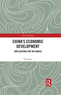 bokomslag China's Economic Development