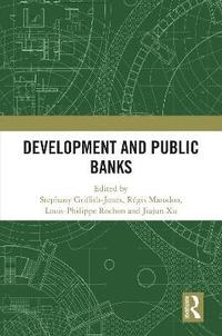 bokomslag Development and Public Banks