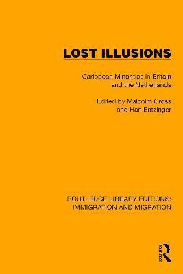 bokomslag Lost Illusions