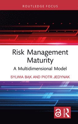 bokomslag Risk Management Maturity