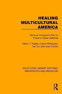 bokomslag Healing Multicultural America