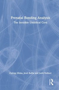 bokomslag Prenatal Bonding Analysis