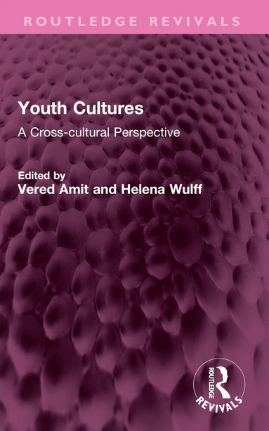 bokomslag Youth Cultures