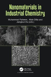 bokomslag Nanomaterials in Industrial Chemistry