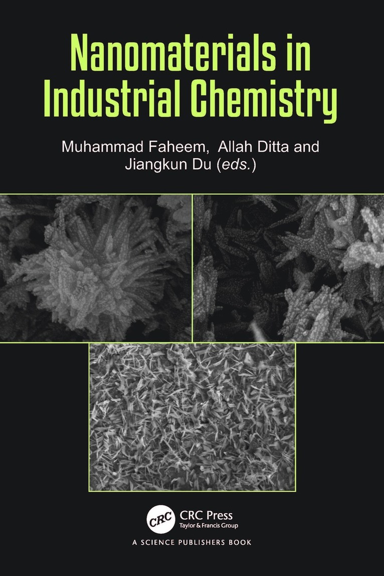 Muhammad Faheem, Allah Ditta, Jiangkun Du - Nanomaterials in Industrial Chemistry, Inbunden