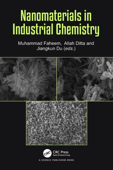 Muhammad Faheem, Allah Ditta, Jiangkun Du - Nanomaterials in Industrial Chemistry, Häftad