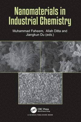 Muhammad Faheem, Allah Ditta, Jiangkun Du - Nanomaterials in Industrial Chemistry, Häftad