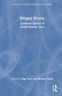 bokomslag Winged Worlds