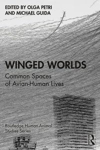 bokomslag Winged Worlds