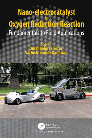Omar Solorza Feria, Sathish-Kumar Kamaraj - Nano-electrocatalyst for Oxygen Reduction Reaction, Inbunden