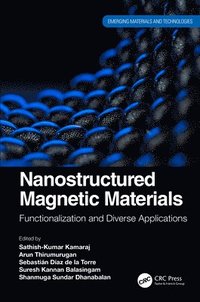 bokomslag Nanostructured Magnetic Materials