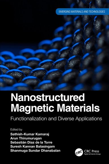 Sathish-Kumar Kamaraj, Arun Thirumurugan, Sebastián Díaz de la Torre, Suresh Kannan Balasingam, Shanmuga Sundar Dhanabalan - Nanostructured Magnetic Materials, Inbunden