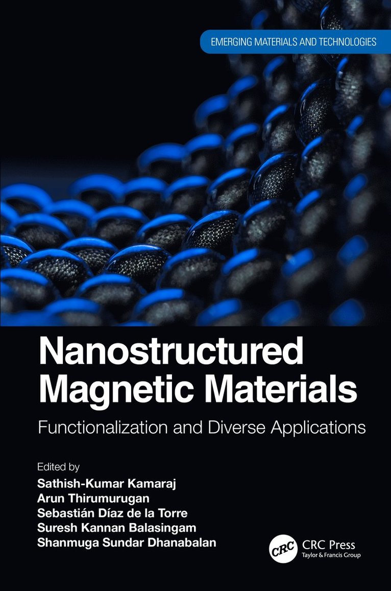 Nanostructured Magnetic Materials 1