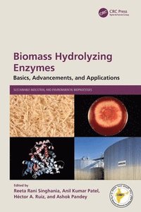 bokomslag Biomass Hydrolyzing Enzymes