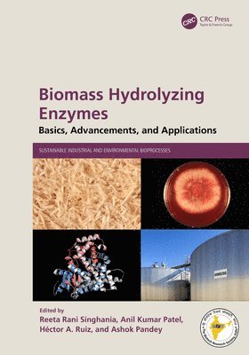 bokomslag Biomass Hydrolyzing Enzymes