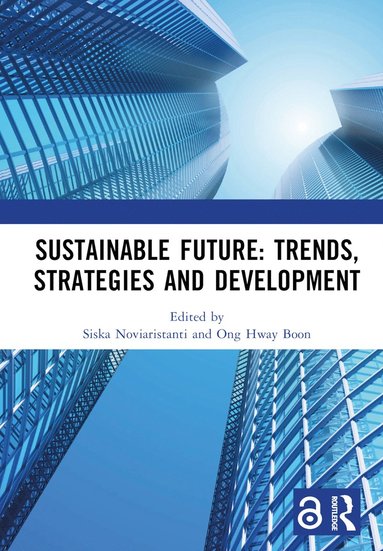 bokomslag Sustainable Future: Trends, Strategies and Development