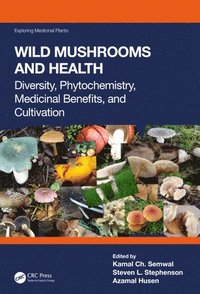 bokomslag Wild Mushrooms and Health
