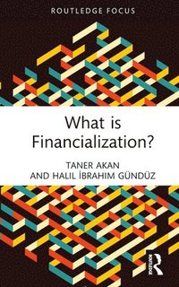 bokomslag What is Financialization?