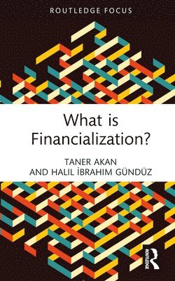 What is Financialization? 1