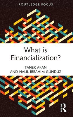 bokomslag What is Financialization?