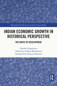 bokomslag Indian Economic Growth in Historical Perspective