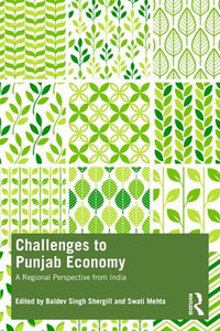 bokomslag Challenges to Punjab Economy