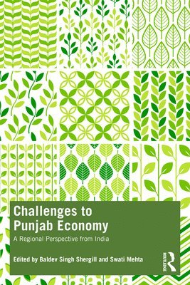 Challenges to Punjab Economy 1