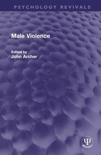 bokomslag Male Violence