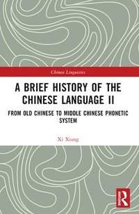 bokomslag A Brief History of the Chinese Language II