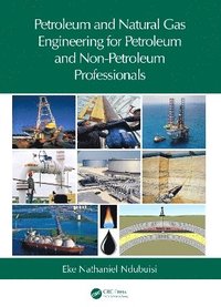 bokomslag Petroleum and Natural Gas Engineering for Petroleum and Non-Petroleum Professionals