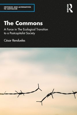 bokomslag The Commons
