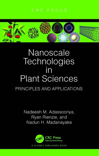 bokomslag Nanoscale Technologies in Plant Sciences