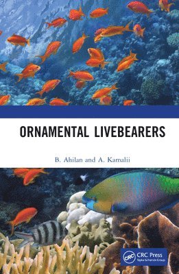 Ornamental Livebearers 1