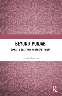 bokomslag Beyond Punjab