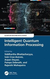 bokomslag Intelligent Quantum Information Processing