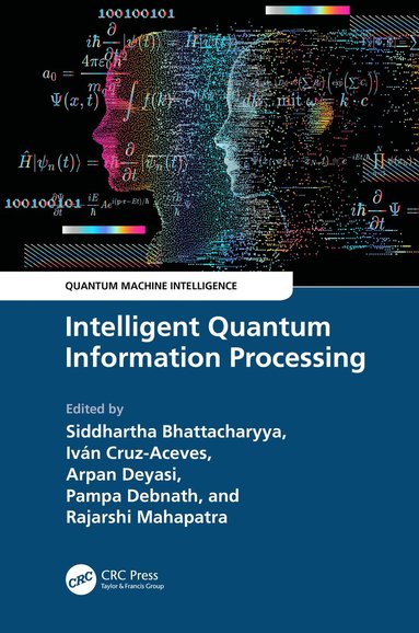 bokomslag Intelligent Quantum Information Processing