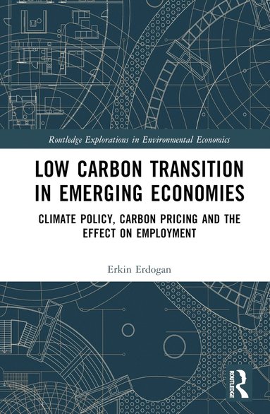 bokomslag Low Carbon Transition in Emerging Economies