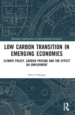 bokomslag Low Carbon Transition in Emerging Economies