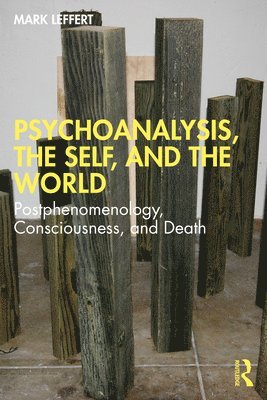 bokomslag Psychoanalysis, the Self, and the World