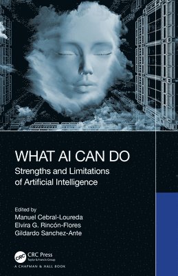 bokomslag What AI Can Do: Strengths and Limitations of Artificial Intelligence