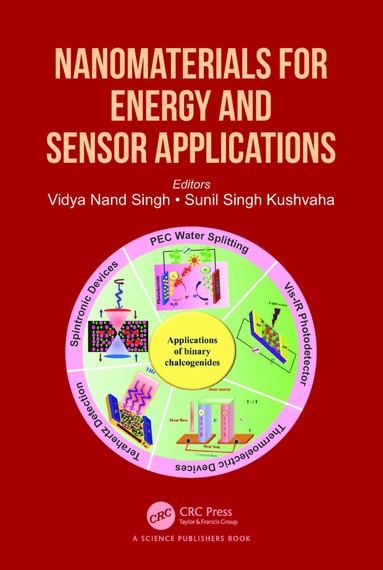 bokomslag Nanomaterials for Energy and Sensor Applications