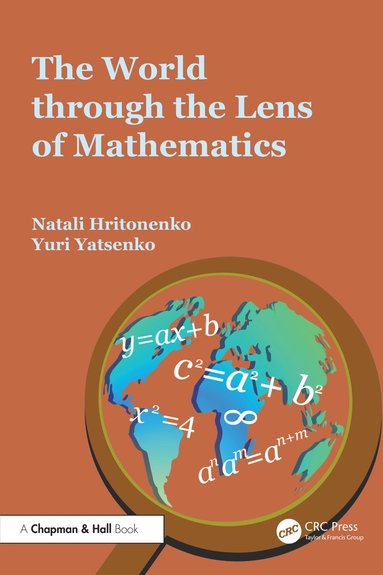 bokomslag World through the Lens of Mathematics