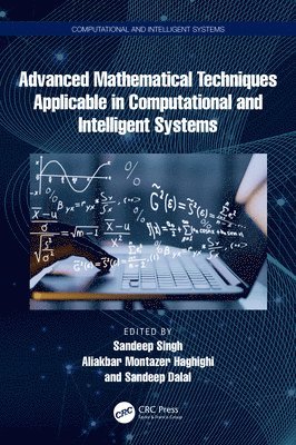 bokomslag Advanced Mathematical Techniques in Computational and Intelligent Systems